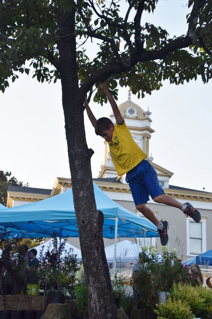 festival 2019#1 043 (683x1024).jpg